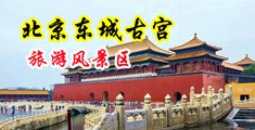 操逼黄色视频网站中国北京-东城古宫旅游风景区